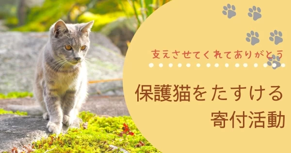 保護猫をたすける寄付活動。支えさせてくれてありがとう}