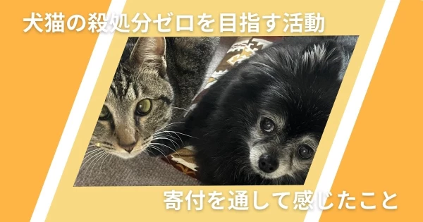 犬猫の殺処分ゼロを目指す活動。寄付を通して感じたこと}